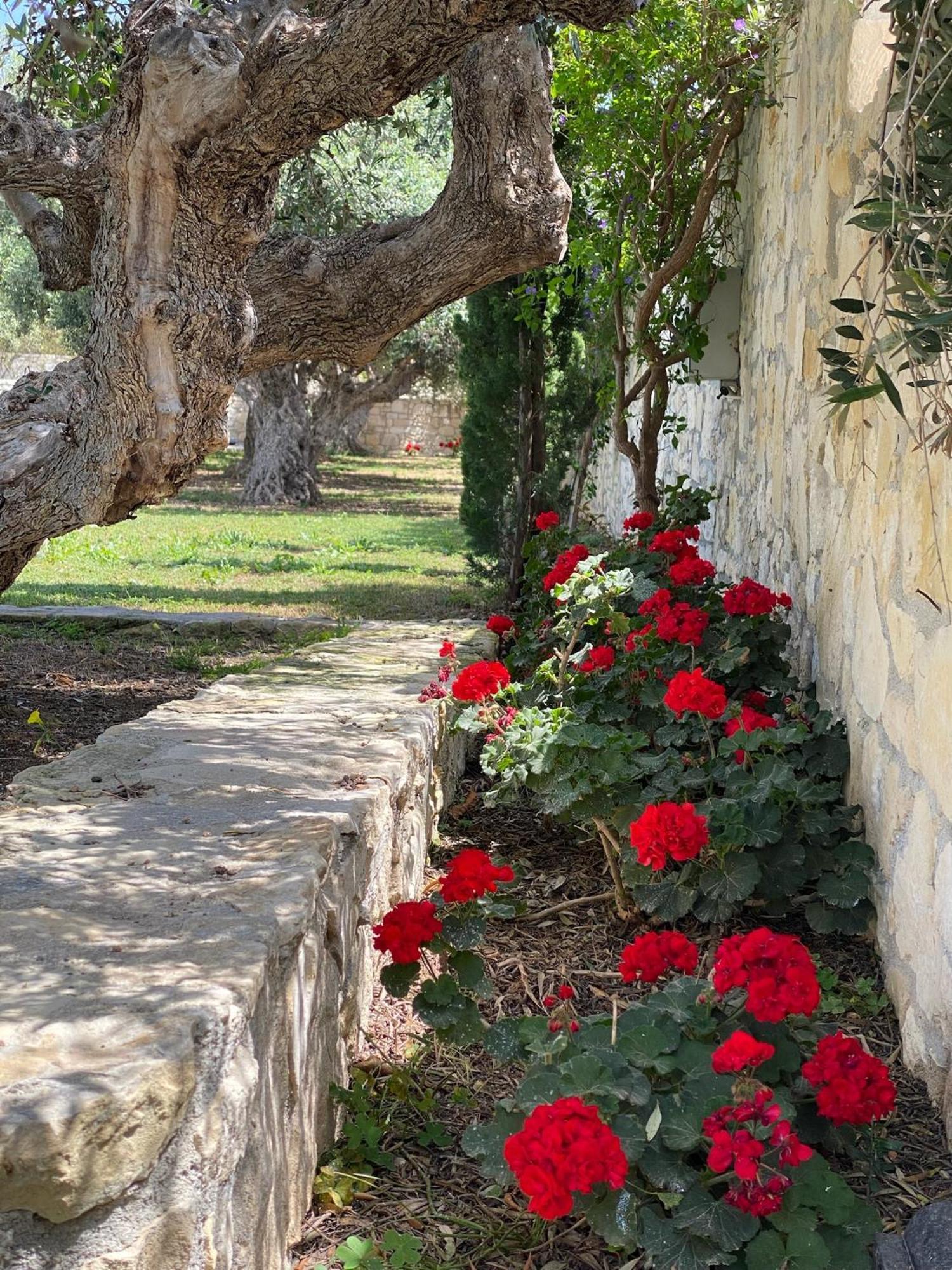 Villa Marmelada Ierapetra  Luaran gambar